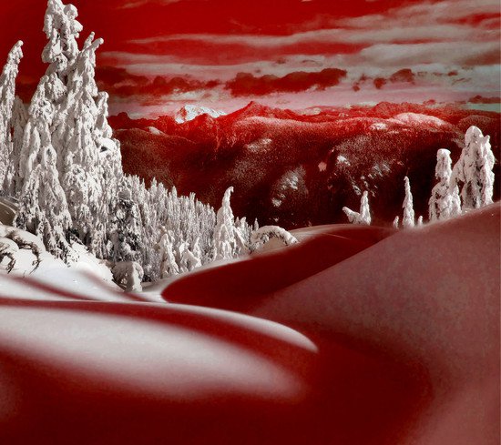 red-snow-cum.jpg?itok=F_OoEmh8