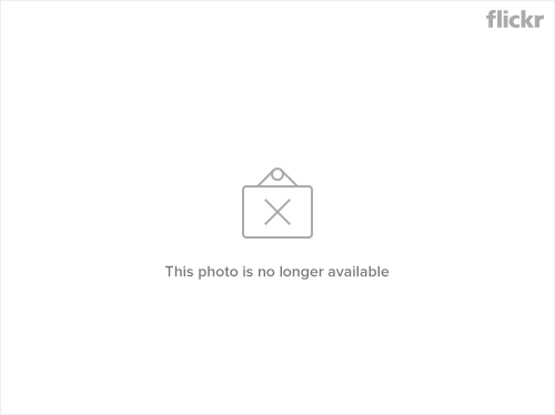 376203116_3dacd1b47d.jpg?v=0