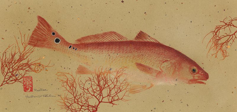 red%20fish.jpg?attachauth=ANoY7cpC7ZKX5ePfE_ve3ukgpWbVRaQleViJYrYb4lzgdyT12bfKsVLzZWLtVM_DdOhoyjNJBMb9bovnHn_96LgvzgwrwiAtcX9gBhKsVK21q8P_Tqk1h89oZ6VtfjBRL5RfHk-Yn6VVZFLhRJ_3EeNOhJ6GMMJ1PjgQez16yaUd3VGlth04oL1LHZFu98WmfjPESnU3m54uSQRW6kcdmMaIgZKWs_EPvYlbVuzA7vRVQ7Pa0SdUXhU_kHvNqebGKG7dWwzHRt1y&attredirects=1