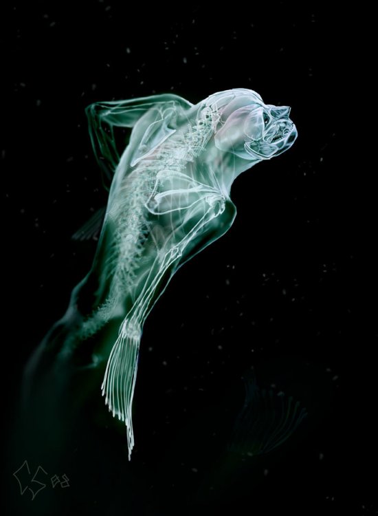 Deep_Sea_Mermaid_by_psychohazard.jpg