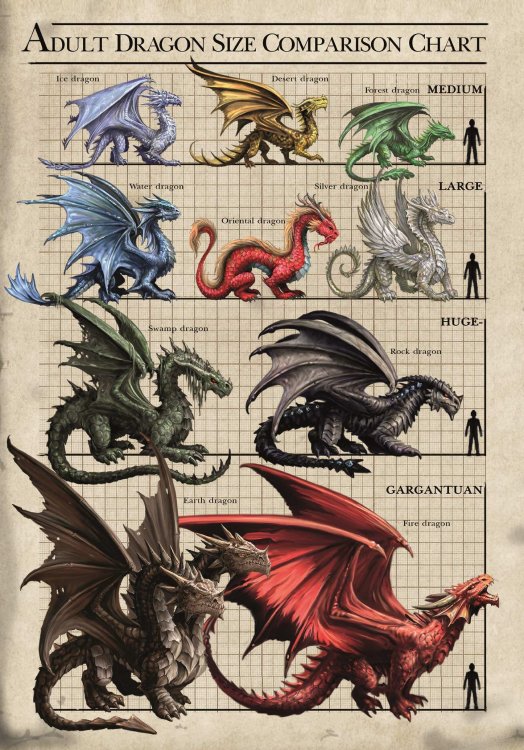 dragon chart.jpeg