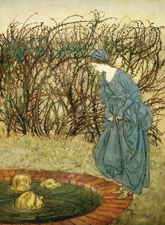 the-three-heads-of-the-well-english-fairy-tale-illustration-by-arthur-rackham.thumb.jpg.d19aebfb935e7d1b2ef4bc43a7198579.jpg
